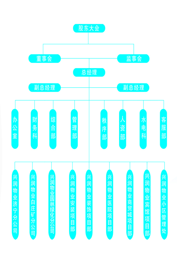 山東物業(yè)公司企業(yè)架構圖